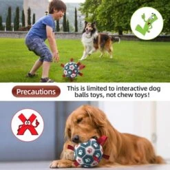 Itopfox Premium Dog Balls Toys, Pet Training Soccer Ball With Straps, Puppy Birthday Gifts, Dog Water Toy, Durable Herding Balls For Small Medium Dog -Kid's Home GUEST 2e150a3c c452 4cc1 b68d 59cd1f9cfd98