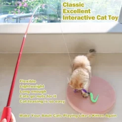 Itopfox Interactive Cat Toy With Retractable Wand & Feather Refills For Indoor Cats To Chase, Exercise & Play