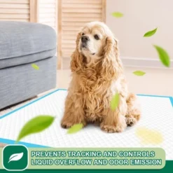 Itopfox 100 Count Leak-Proof & Super Absorbent Dog Training Pads | Disposable Potty Pads For Puppies, Dogs, Cats & Rabbits | Quick-Dry & Odor Control 11 Itopfox 100 Count Leak-Proof & Super Absorbent Dog Training Pads | Disposable Potty Pads For Puppies, Dogs, Cats & Rabbits | Quick-Dry & Odor Control -Kid's Home GUEST 4b1f5184 a459 49e9 a5ab f0e5c7a6e354