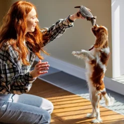 Itopfox Plush Dog Squeaky Toy Stuffed Armadillo Animal Pet Puppy Chew Toys For Small Medium Large All Breed Sizes Dogs, Gray -Kid's Home GUEST 8c4618e9 9bd9 468a b511 526d92886ec5