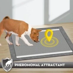 Itopfox Charcoal Pet Pee Pads With Odor-Control & Super Absorbent Up To 10 Cups, 6-Layer Quick Dry & Leak-Proof With Adhesive Tabs, Disposable -Kid's Home GUEST 951fc6a2 dca3 4f16 93fc f857f82c46e7