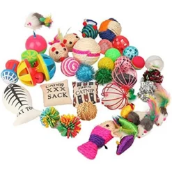 Itopfox Cat Toys Variety Pack For Kitty - 20 Piece Assortment With Wand, Balls, Mice & Feathers For Playful Felines 10 Itopfox Cat Toys Variety Pack For Kitty - 20 Piece Assortment With Wand, Balls, Mice & Feathers For Playful Felines -Kid's Home GUEST 9d978458 1a6c 45ca ba84 bf553e261918