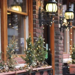 Itopfox Clear Christmas String Lights 100 Count Incandescent Mini Lights For Indoor Xmas Tree Garland Birthday Wedding Party Festival Decoration -Kid's Home GUEST a27fefc9 38d6 4aa7 98c8 a6dd85b3a92e