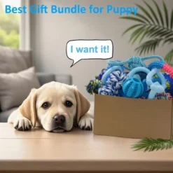 Itopfox 20 Pack Puppy Chew Toys - Blue Dog Teething Toys For Puppies, Teething Rings And Durable Ropes, Rubber Toy Bundle For Small Dogs -Kid's Home GUEST a9520fdc 3d17 46aa af31 7b0da9400eaa