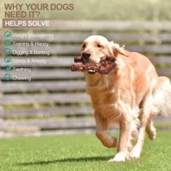 Itopfox Indestructible Dog Chew Toy For Aggressive Chewers, Extreme Tough Bone For Large Dogs, Real Beef Flavored, Long Lasting Chew Toy For Medium -Kid's Home GUEST b50cab36 a73f 4231 99a0 d4a518542d8d