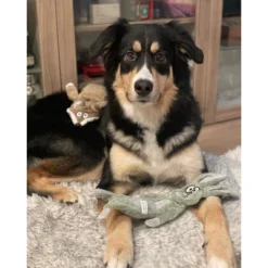 Itopfox No Stuffing Squeaky Crinkle Plush Dog Toys For Aggressive Chewers, Puppy Teething Toys For Small, Medium, Large Breed, Cute Bunny & Redfox 11 Itopfox No Stuffing Squeaky Crinkle Plush Dog Toys For Aggressive Chewers, Puppy Teething Toys For Small, Medium, Large Breed, Cute Bunny & Redfox -Kid's Home GUEST ccf6252a 7931 4b81 9202 edc2e7bda28b