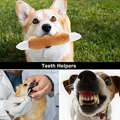 Itopfox Dog Squeaky Toys, Plush Small Dog Toys With Squeakers, 12 Pcs Puppy Toys With Carrying Bag For Small Medium Dogs 1 Itopfox Dog Squeaky Toys, Plush Small Dog Toys With Squeakers, 12 Pcs Puppy Toys With Carrying Bag For Small Medium Dogs