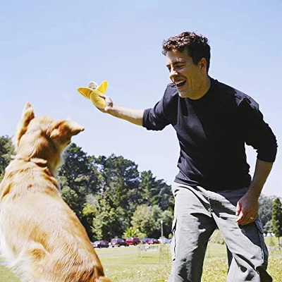 Itopfox Dog Squeaky Toys, Plush Small Dog Toys With Squeakers, 12 Pcs Puppy Toys With Carrying Bag For Small Medium Dogs 5 Itopfox Dog Squeaky Toys, Plush Small Dog Toys With Squeakers, 12 Pcs Puppy Toys With Carrying Bag For Small Medium Dogs - Image 5