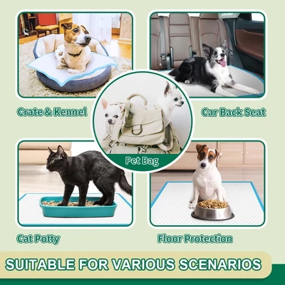 Itopfox 100 Count Leak-Proof & Super Absorbent Dog Training Pads | Disposable Potty Pads For Puppies, Dogs, Cats & Rabbits | Quick-Dry & Odor Control 6 Itopfox 100 Count Leak-Proof & Super Absorbent Dog Training Pads | Disposable Potty Pads For Puppies, Dogs, Cats & Rabbits | Quick-Dry & Odor Control - Image 6